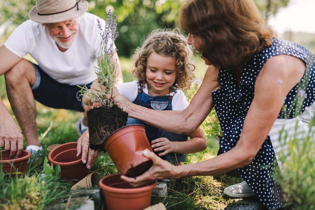 a couple gardening with their granddaughter